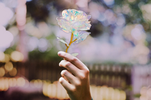 Load image into Gallery viewer, Galaxy Rose™