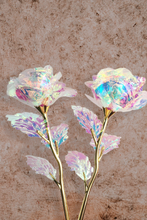 Load image into Gallery viewer, Galaxy Rose™