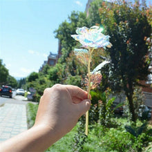 Load image into Gallery viewer, Galaxy Rose™